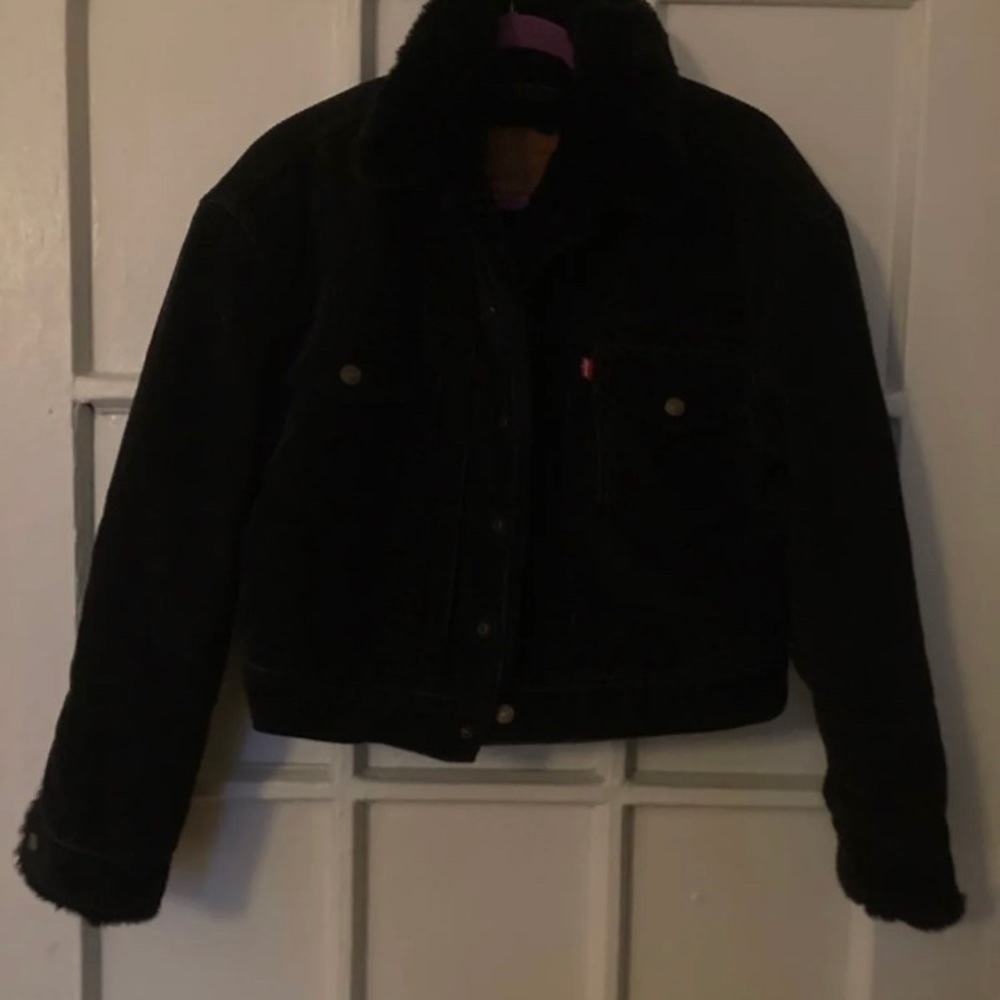 Short Levi’s jacket, corduroy Sherpa jacket.